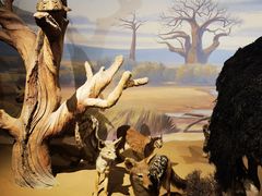 -陕西自然博物馆