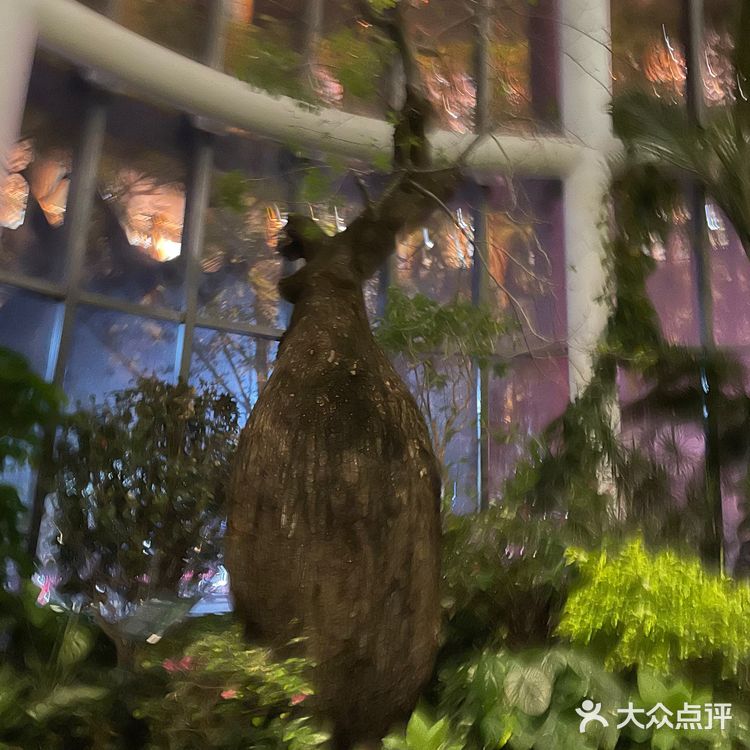 是谁在商场升起了月亮?