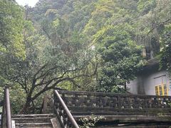 -鼎湖山风景区