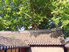 -天朝元辅-徐州民俗博物馆