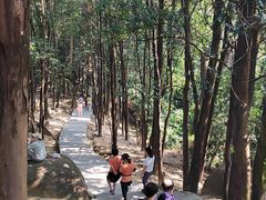 -火炉山森林公园