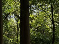 -峨眉山报国寺