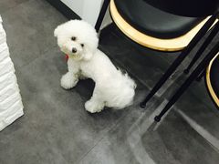 -ICEPOPO MILK(玉兰店)