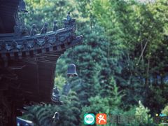 -溪口-滕头旅游景区