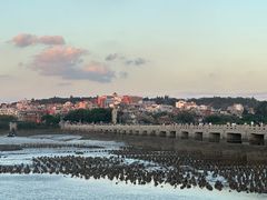 -阿秋牛排(湖心街店)