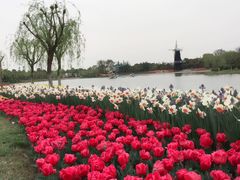 -上海鲜花港