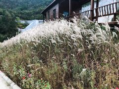 -沂蒙山旅游区云蒙景区(蒙山国家森林公园)