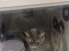 -瑞鹏宠物医院·微创内窥镜·骨外科·牙科(翠竹分院)