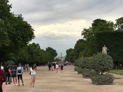 -杜乐丽花园
