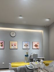 -洗脸猫·洗脸吧