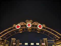 -武汉知音号