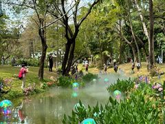 -人民公园(罗湖区)