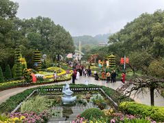 -南山植物园