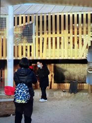 -季高兔窝窝亲子园(上海薰衣草公园店)