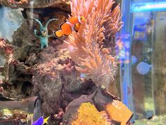 -太平洋海底世界