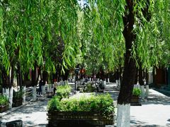 -蓝壁虎咖啡酒馆