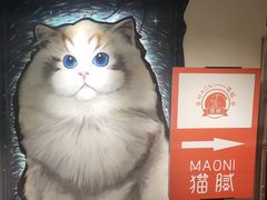 -猫腻·猫咖·撸猫馆(星光大道店)