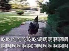 -徐州胡氏火烧(东大成贤店)