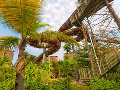 -亚马逊丛林水乐园