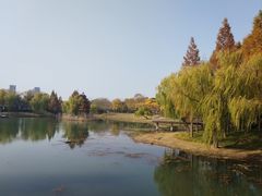 -尚贤河湿地