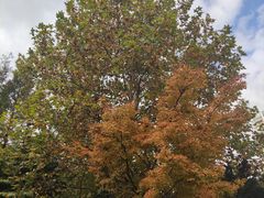 -苏州河梦清园环保主题公园