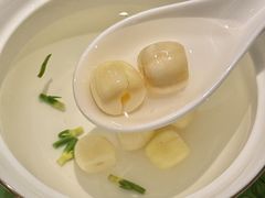 -T館·花园艺术餐厅