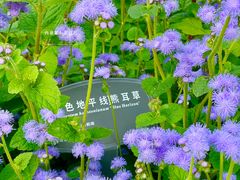 -国家植物园