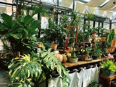 -北马山庄植趣咖啡