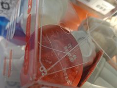 -中国农业大学动物医院