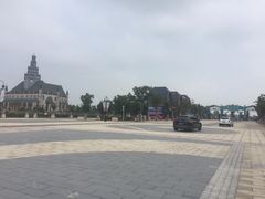 -荷兰花海