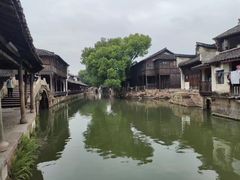 -乌镇东栅景区
