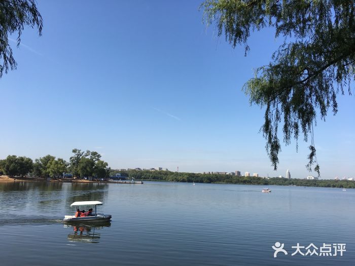 長春市南湖公園-圖片-長春景點/周邊遊-大眾點評網