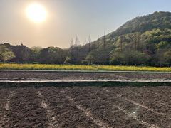 -八卦田遗址公园