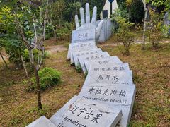 -普洱太阳河森林公园
