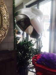 -红人馆造型十添