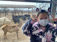 -西安秦岭野生动物园