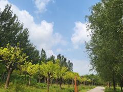 -东郊湿地公园