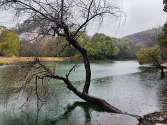 -柯岩风景区