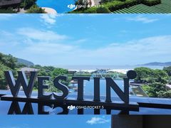 -舟山朱家尖绿城威斯汀度假酒店