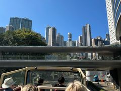 -Big Bus Tours 敞篷观光巴士