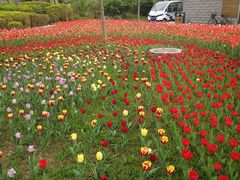 -廊坊文化艺术中心