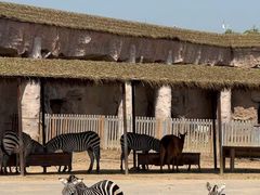 -鄂尔多斯野生动物园