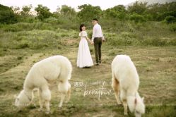 -花漾摄影优选工作室(东莞原创作品店)