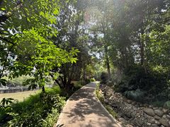 -成都市活水公园