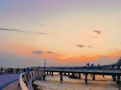 -演武大桥观景平台