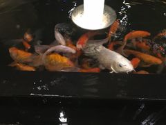 -杭州温德姆至尊豪廷大酒店