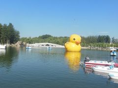 -梦幻奥陶纪景区