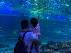 -华夏文旅海洋公园