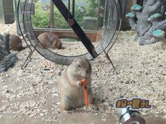 -珠海海泉湾神秘岛亲子乐园