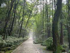 -虎跑公园